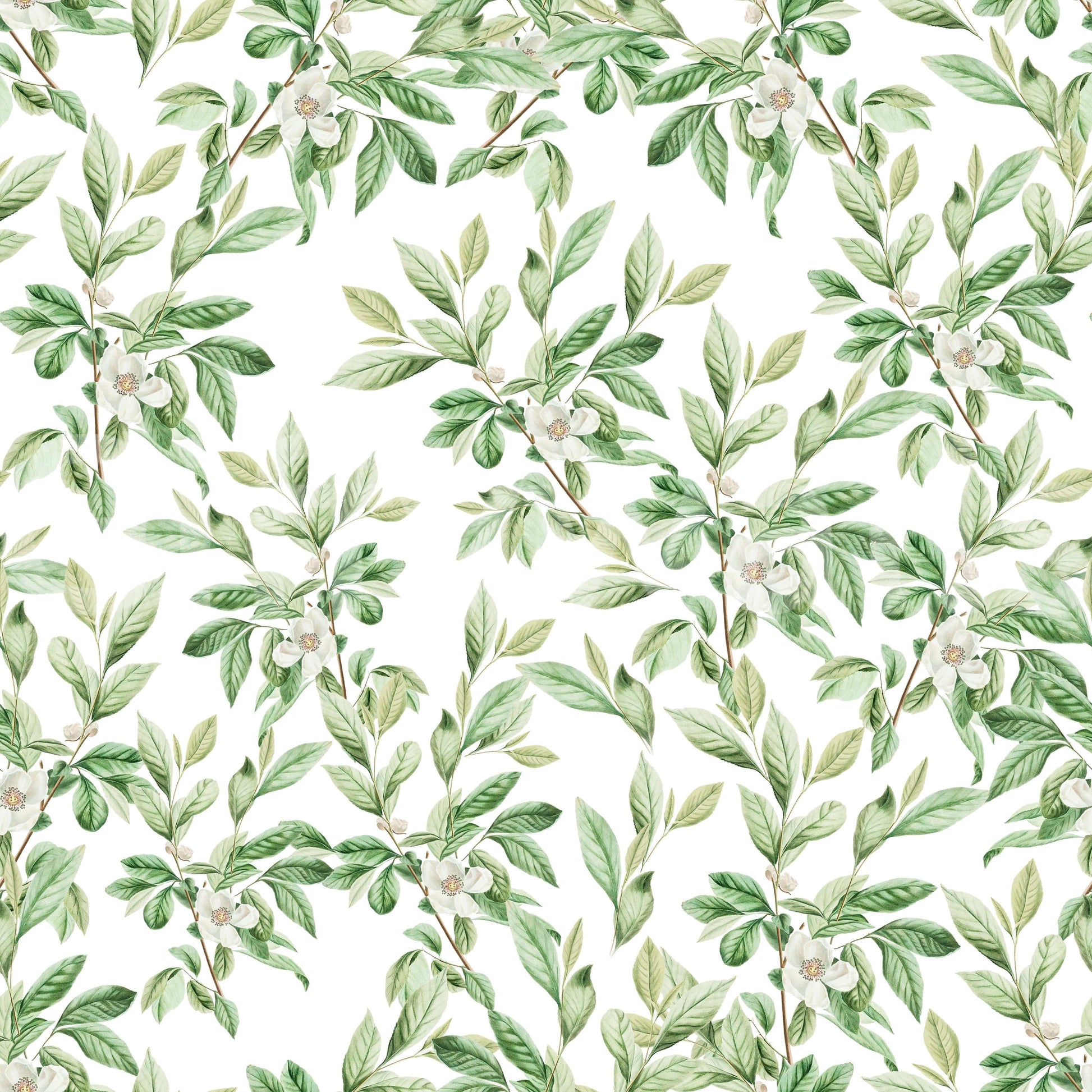 Wallpaper with a calm and beautiful look