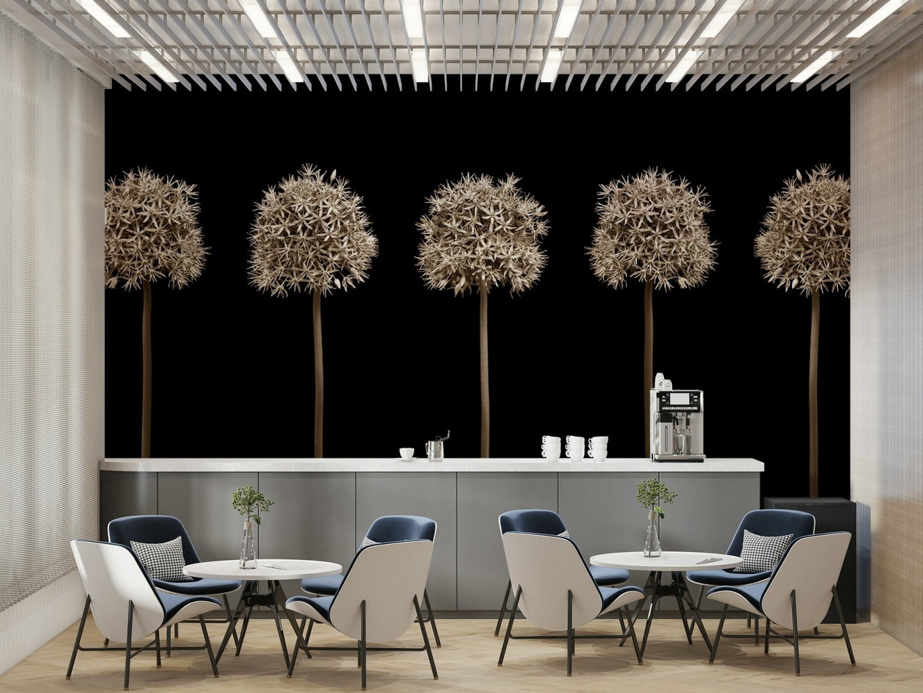 Five allium seed heads in a row.

