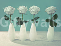 Floral Quartet wallpaper for walls, dramatic, pristine, soft, isolated, gorgeous display.