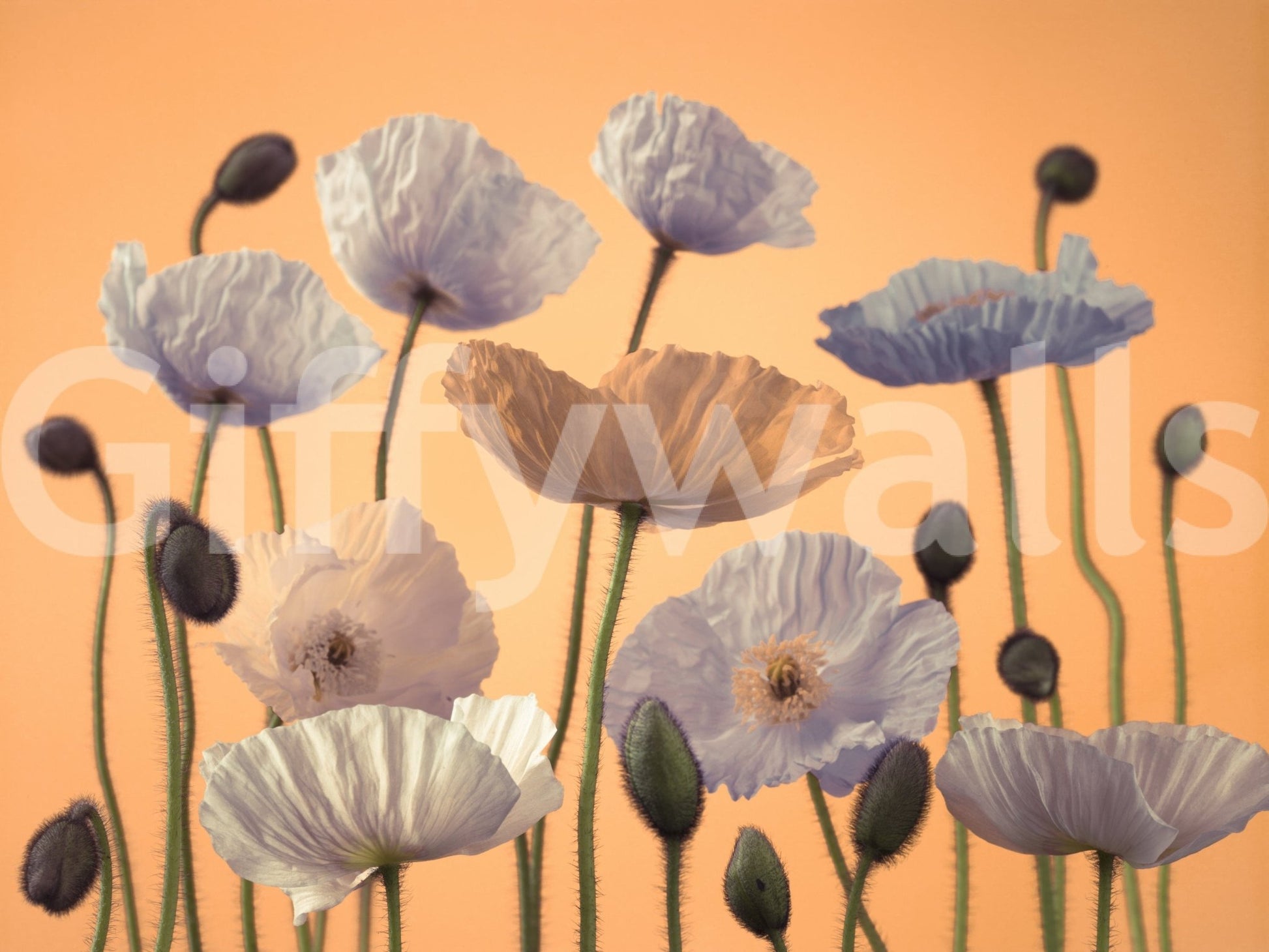 Floral Spectacle Wall Mural on feature wall, modern apartment decor with botanicals