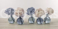 Floral Vases Wall Mural