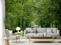 Countryside trail wall mural in soft sunlight