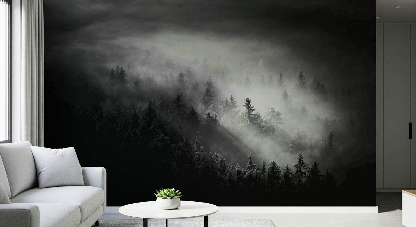 Wall mural Foggy Forest Woodland, shadowy woods, inspiring powerful ambiance.