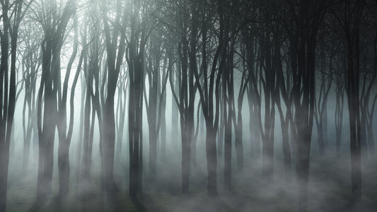 Misty Forest Halloween skræl og stick tapet til indretning