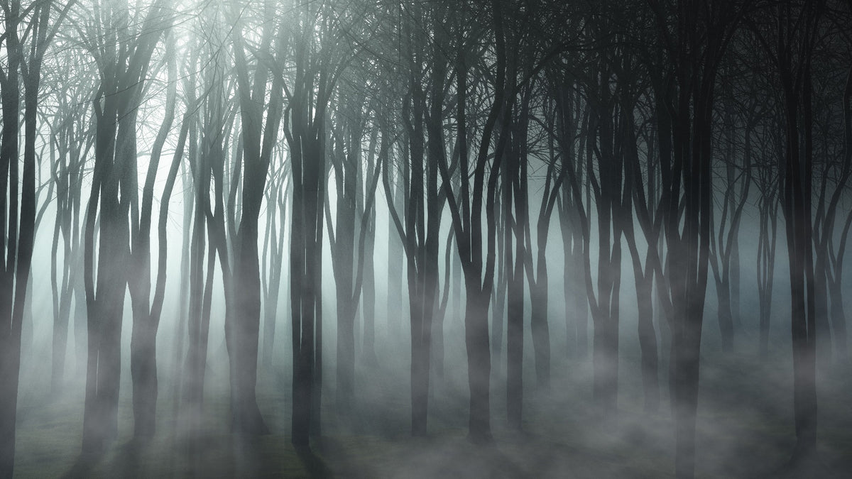 Misty Forest Halloween Peel and Stick Tapete für Dekor