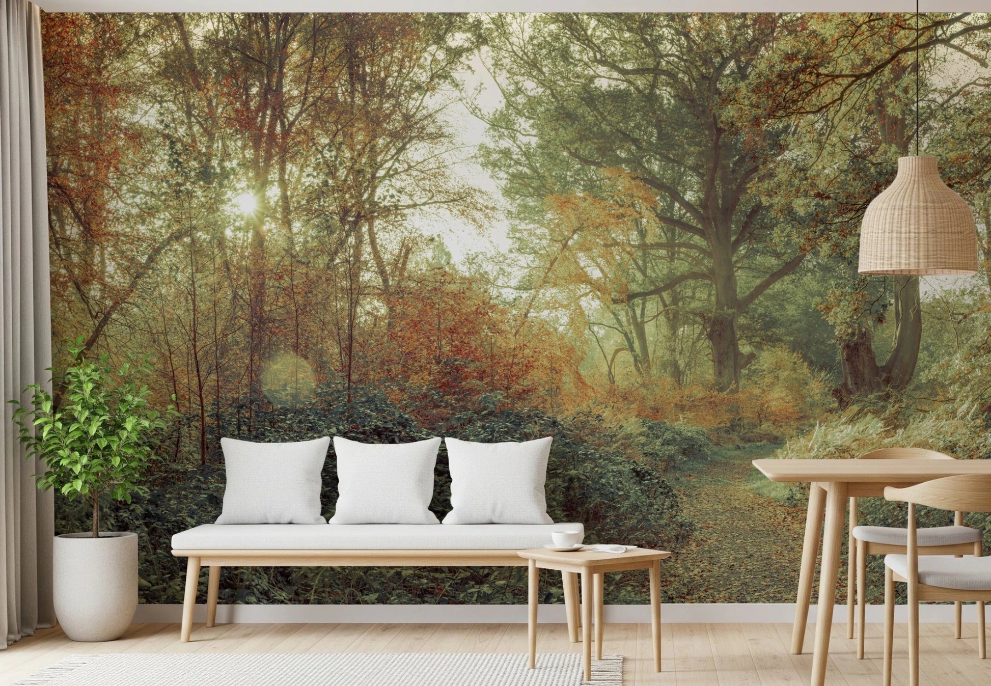 Beautiful Forest Glow Wall Mural depicting a natural misty forest scene.