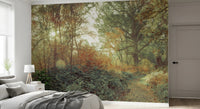 Serene Forest Glow Wall Mural featuring dense forest foliage and light.