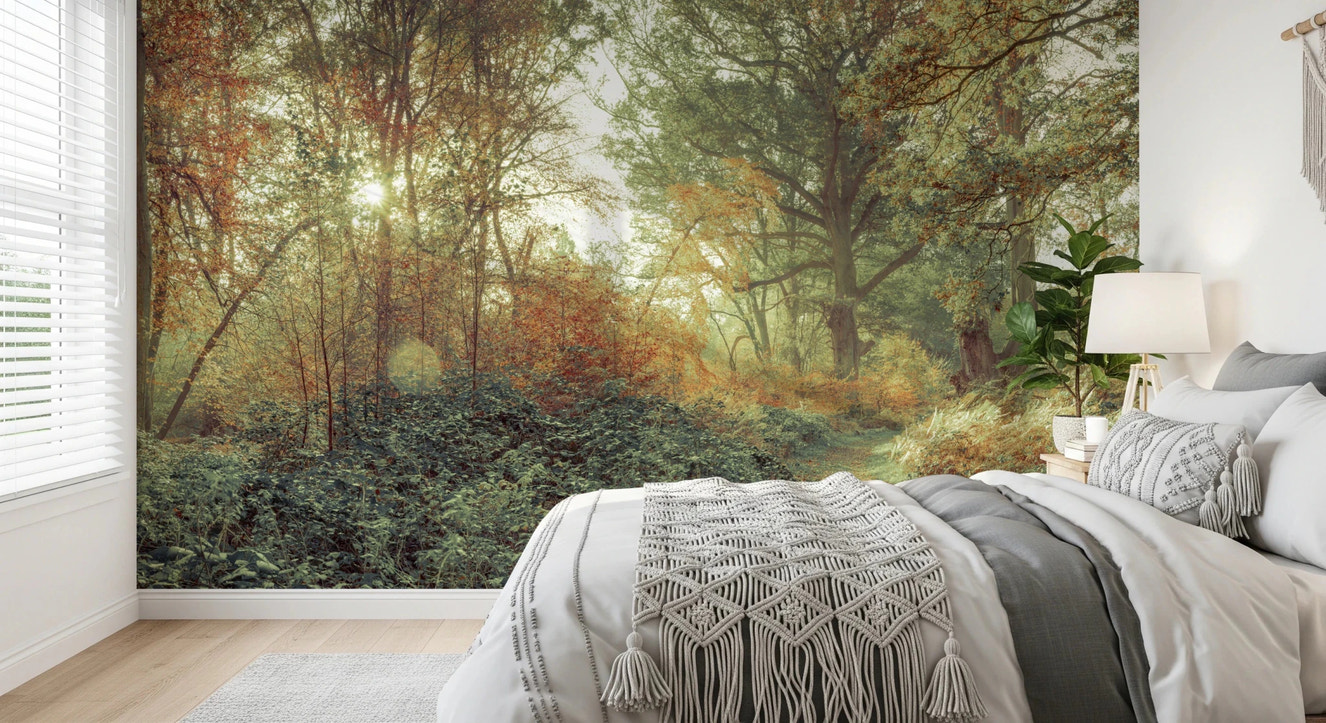 Scenic nature landscape Forest Glow for bedroom Wall Mural with autumnal foliage.
