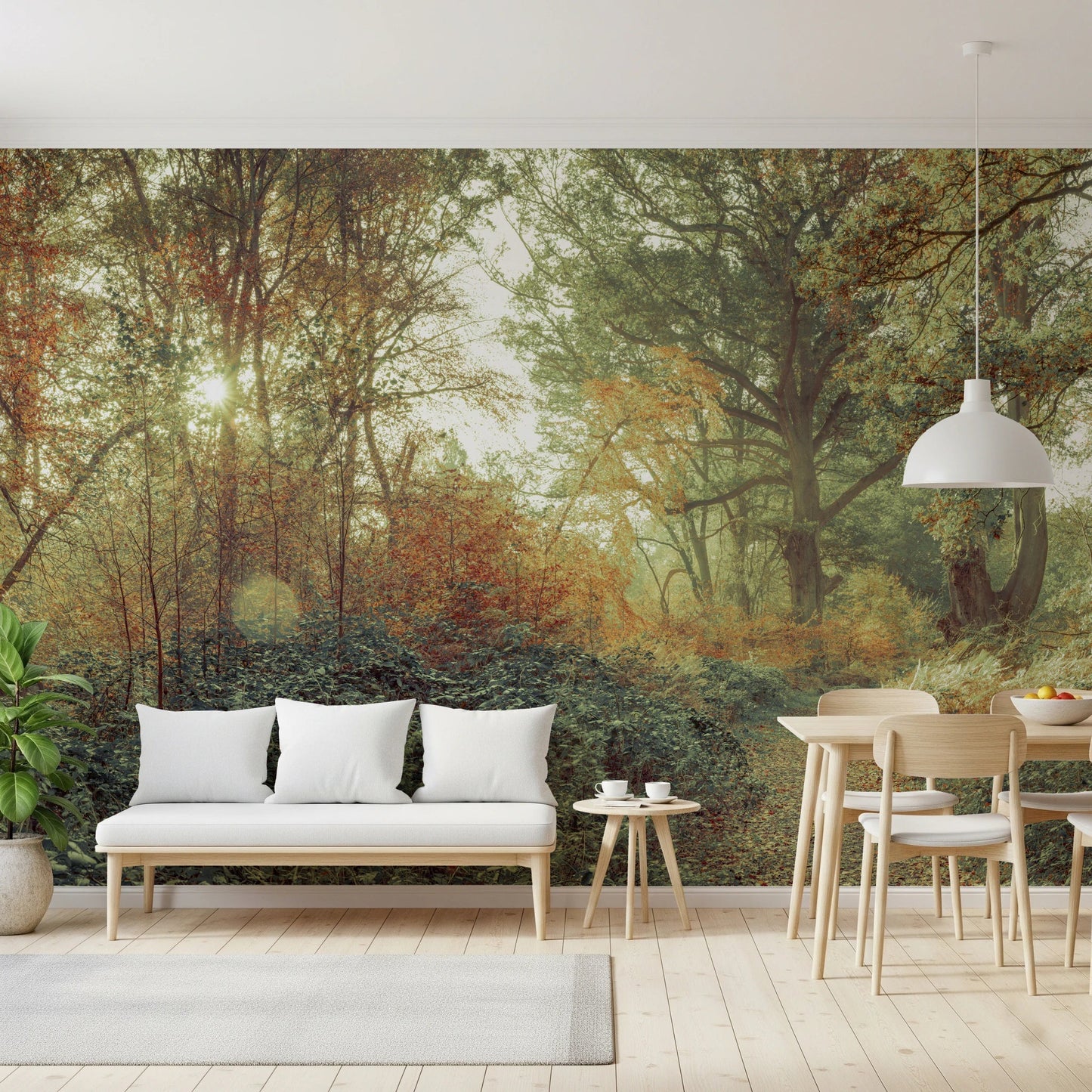Forest Glow Wall Mural with light dappled through vintage-style trees.