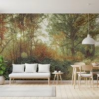 Forest Glow Wall Mural with light dappled through vintage-style trees.