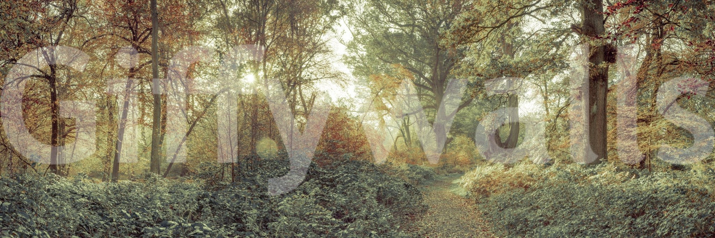 Classic Forest Glow Wall Mural with detailed branch and leaf textures.
