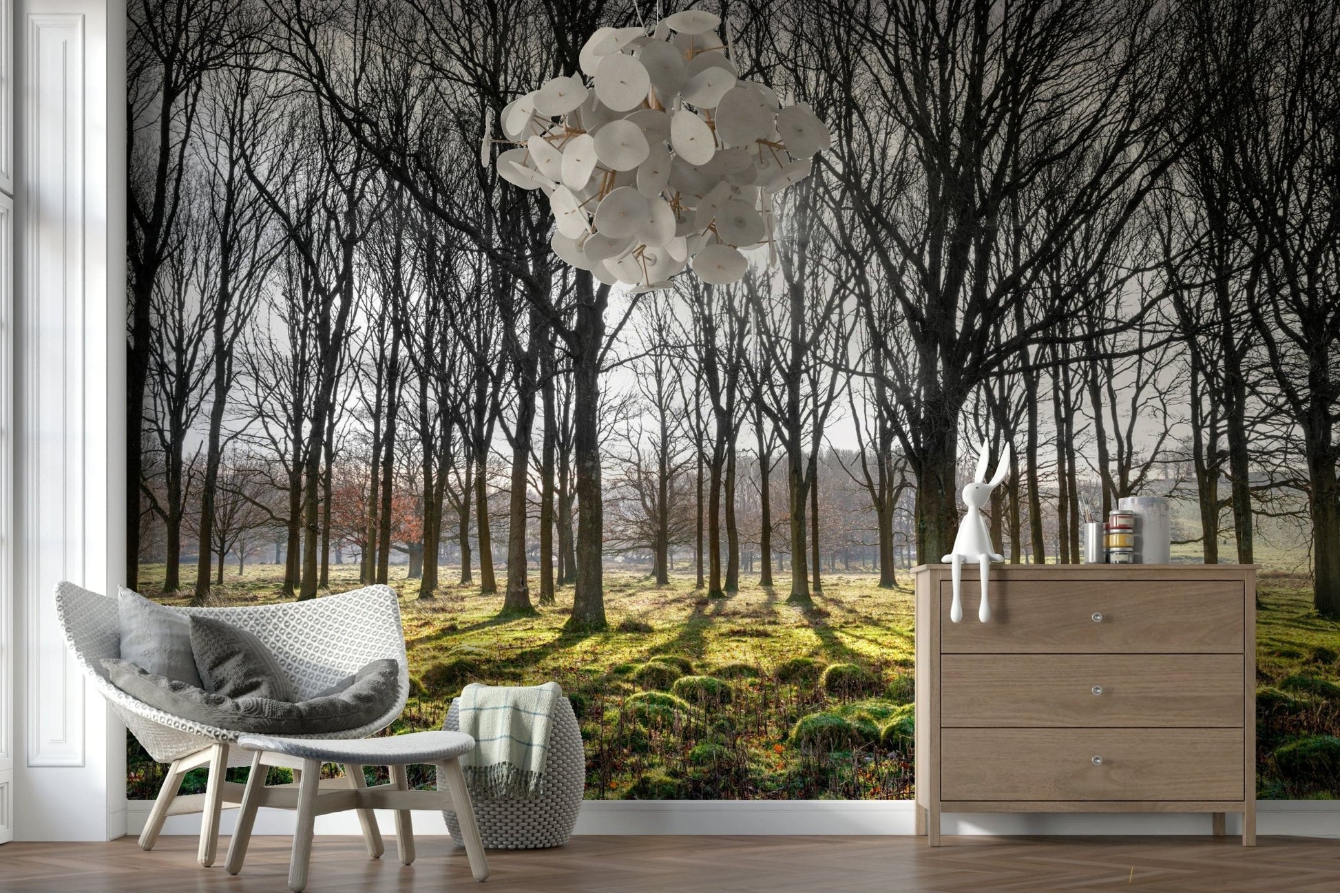 Wallpaper featuring a sunlit forest with tall bare trees casting long shadows over a mossy green ground.