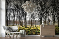 Wallpaper featuring a sunlit forest with tall bare trees casting long shadows over a mossy green ground.