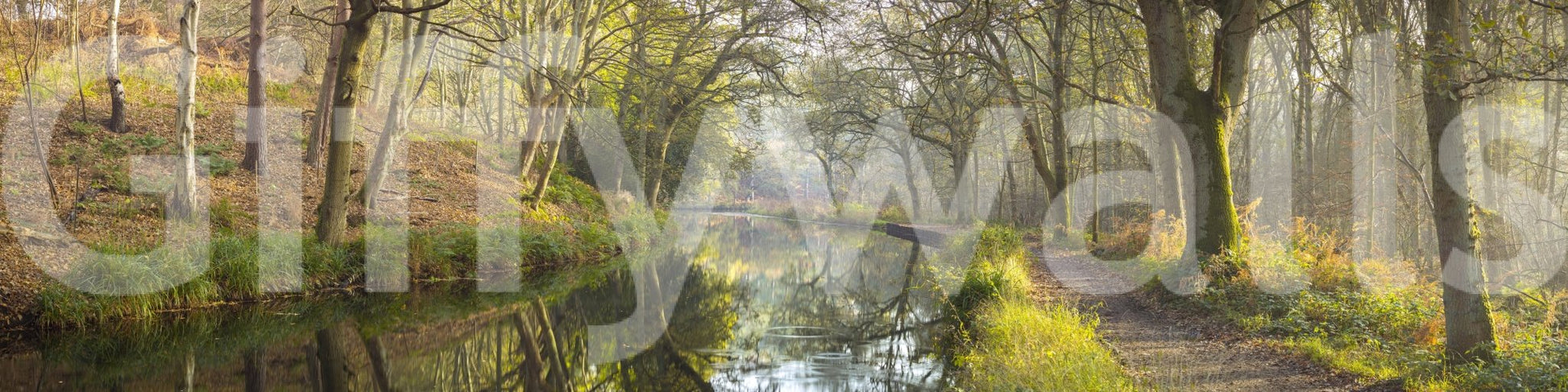 The wallpaper has a smooth, non-reflective matte finish.

