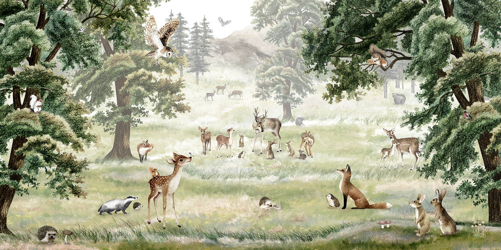 Forest Fun Wallpaper Mindals for Kids Room