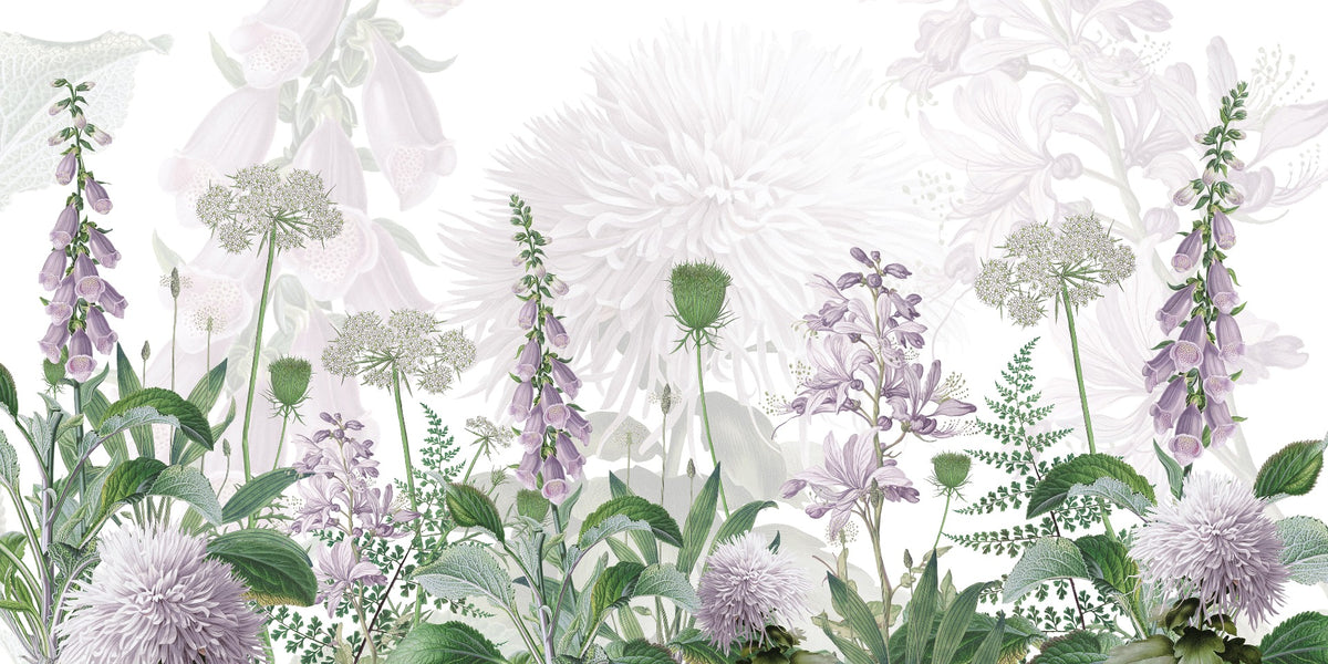 Imagini de fundal cu flori de culoare violet de flori movglove in your room — zoomed
