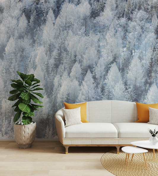 Dense forest covered in frost or snow.

