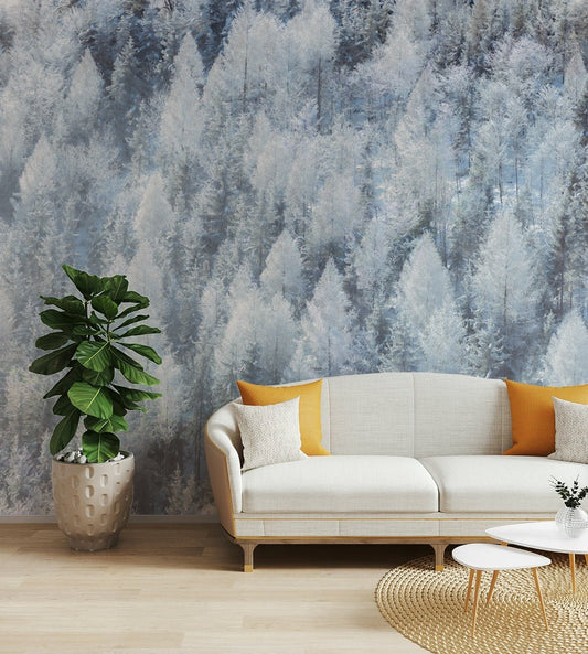 Dense forest covered in frost or snow.

