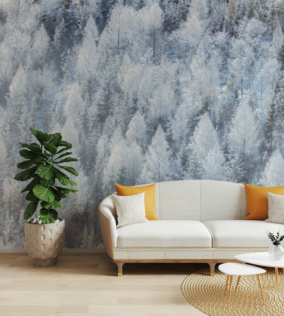 Dense forest covered in frost or snow.

