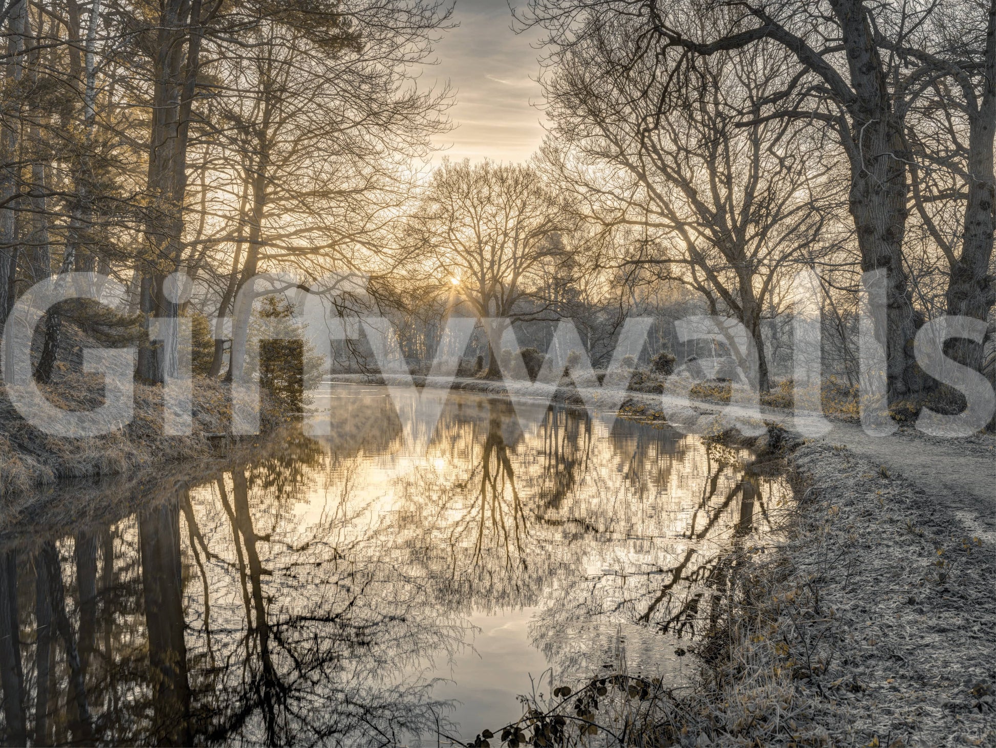 Frosty Morning calming wallpaper

