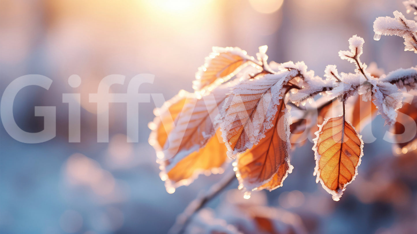 Gilded Frost Wall Mural -2559588