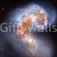 The design is non-realistic and interpretive.

