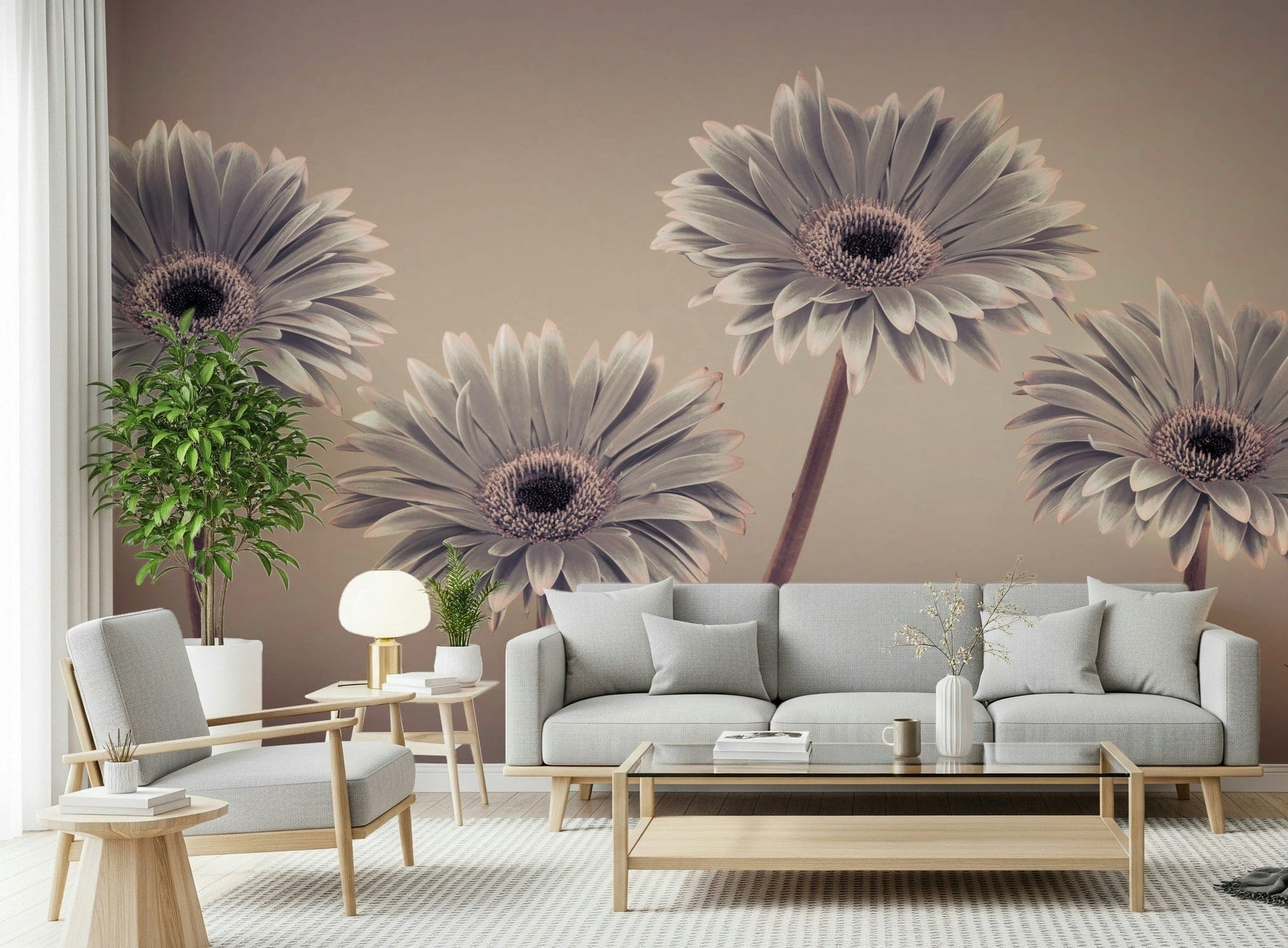 Gentle flower illustration Gerbera Calm nature wallpaper quiet elegance