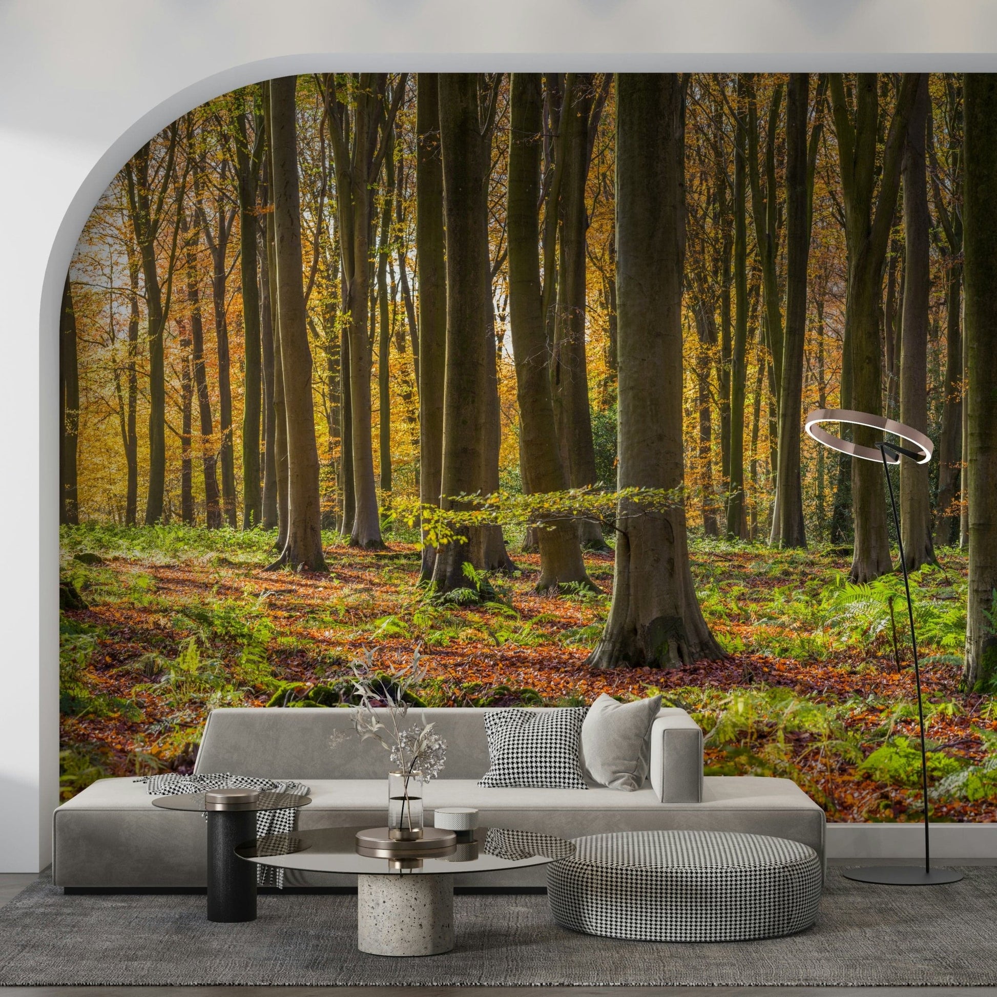 Enchanting Gilded Woods autumnal scene with shadows and bright ground.