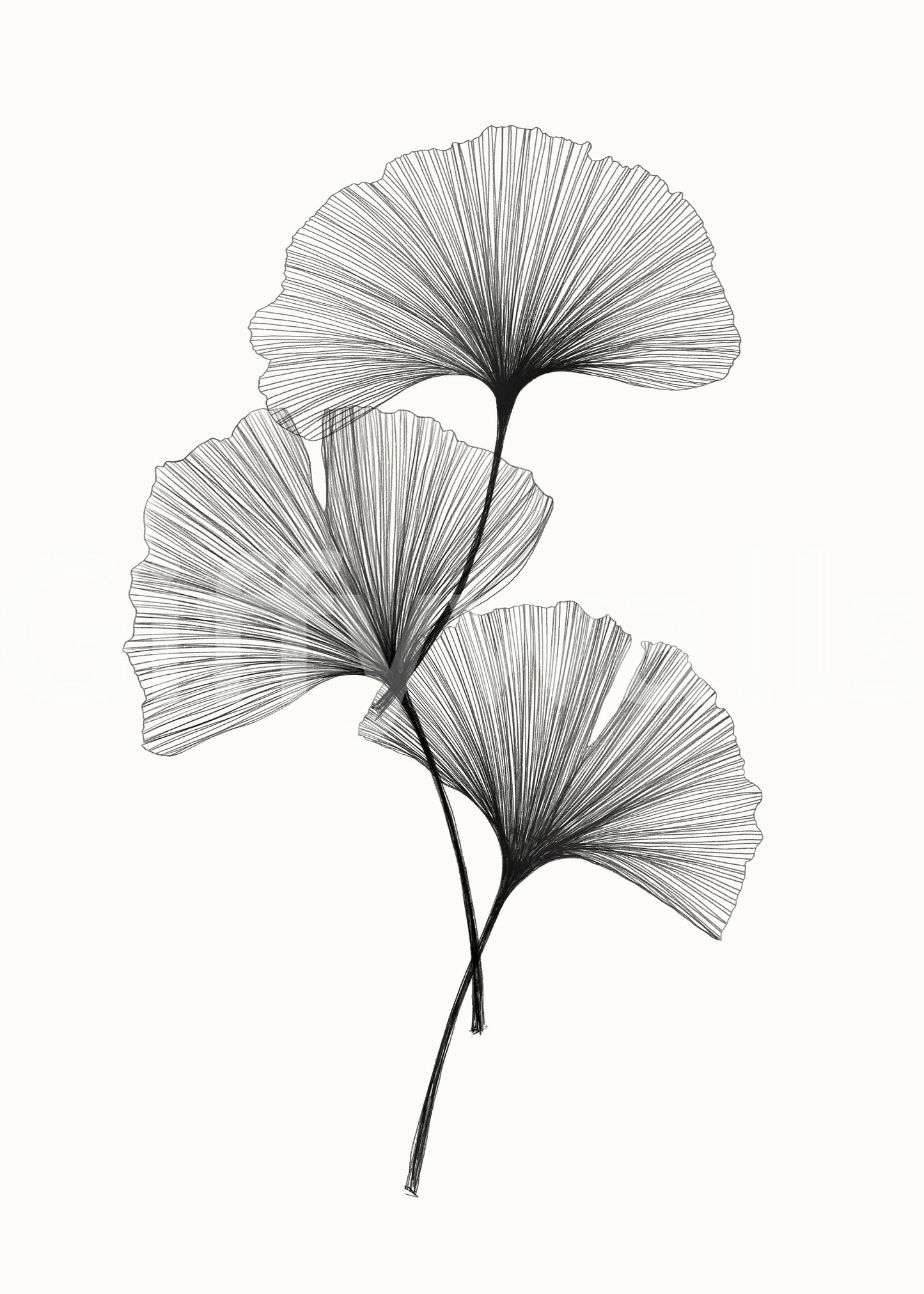 Ginkgo Line Wall Mural