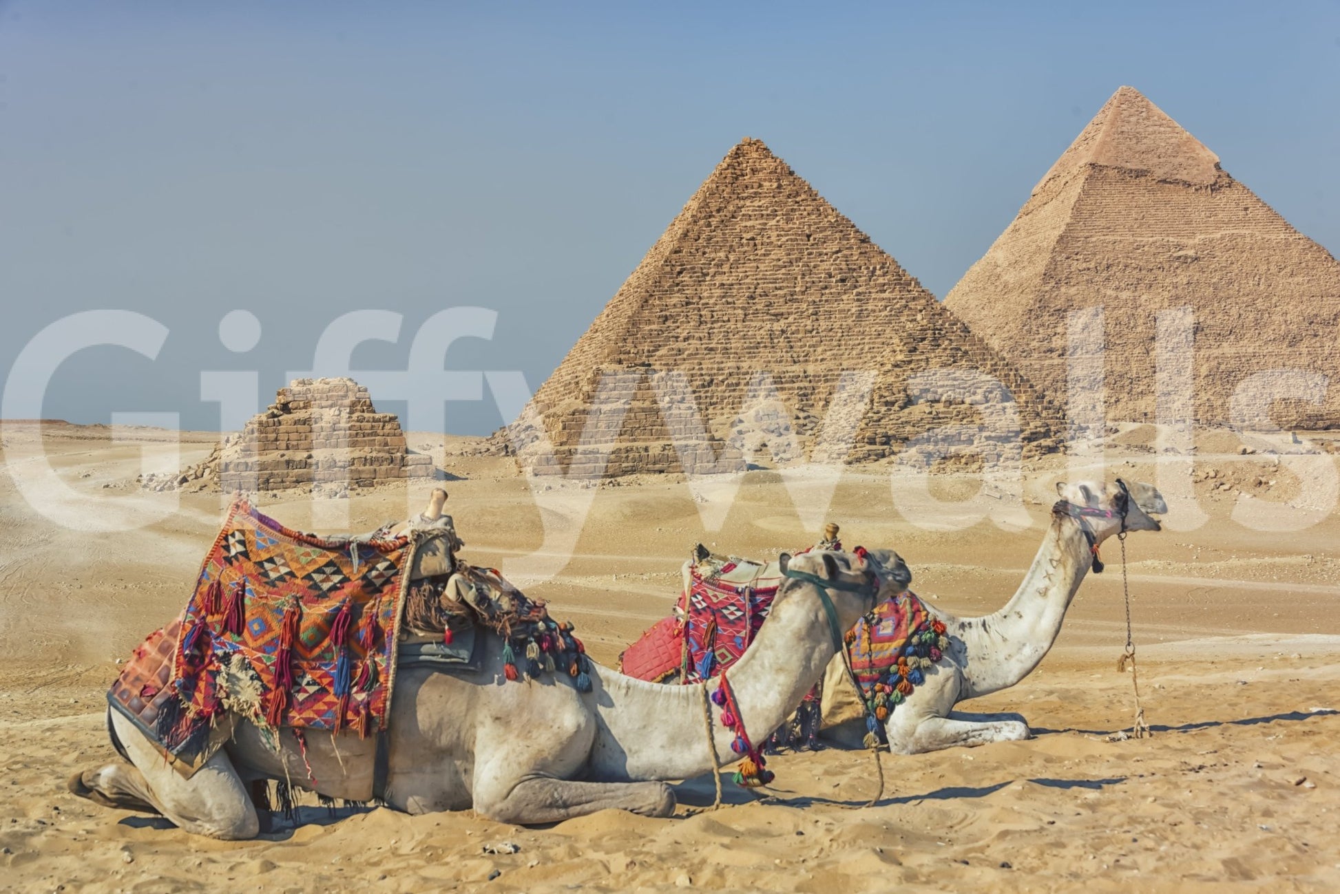 Giza Wall Mural
