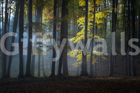 Quiet magical aesthetic of Glimmering Forest Woodland mural art.
