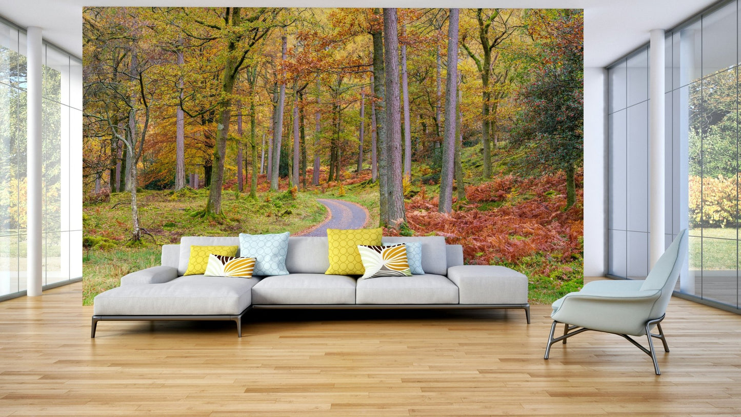 Golden autumn leaves on a tranquil drive wall mural.

