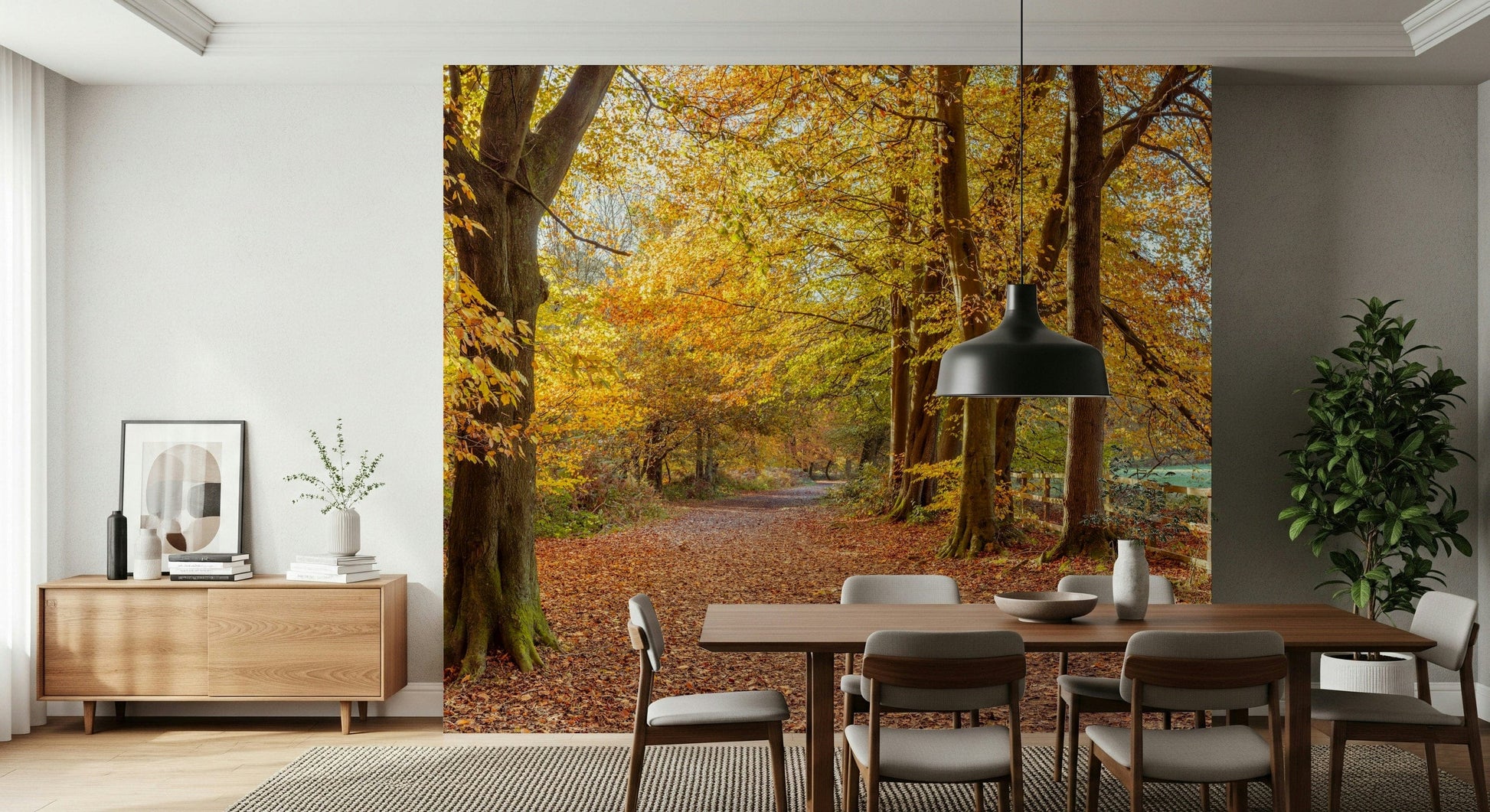 Rustic forest path wallpaper for walls, gorgeous fall atmosphere design.