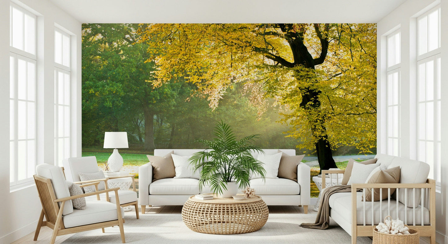 Golden Radiance Wall Mural