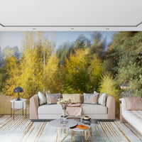 Entryway wall decor with Autumn's Whisper golden trees mural, modern bench