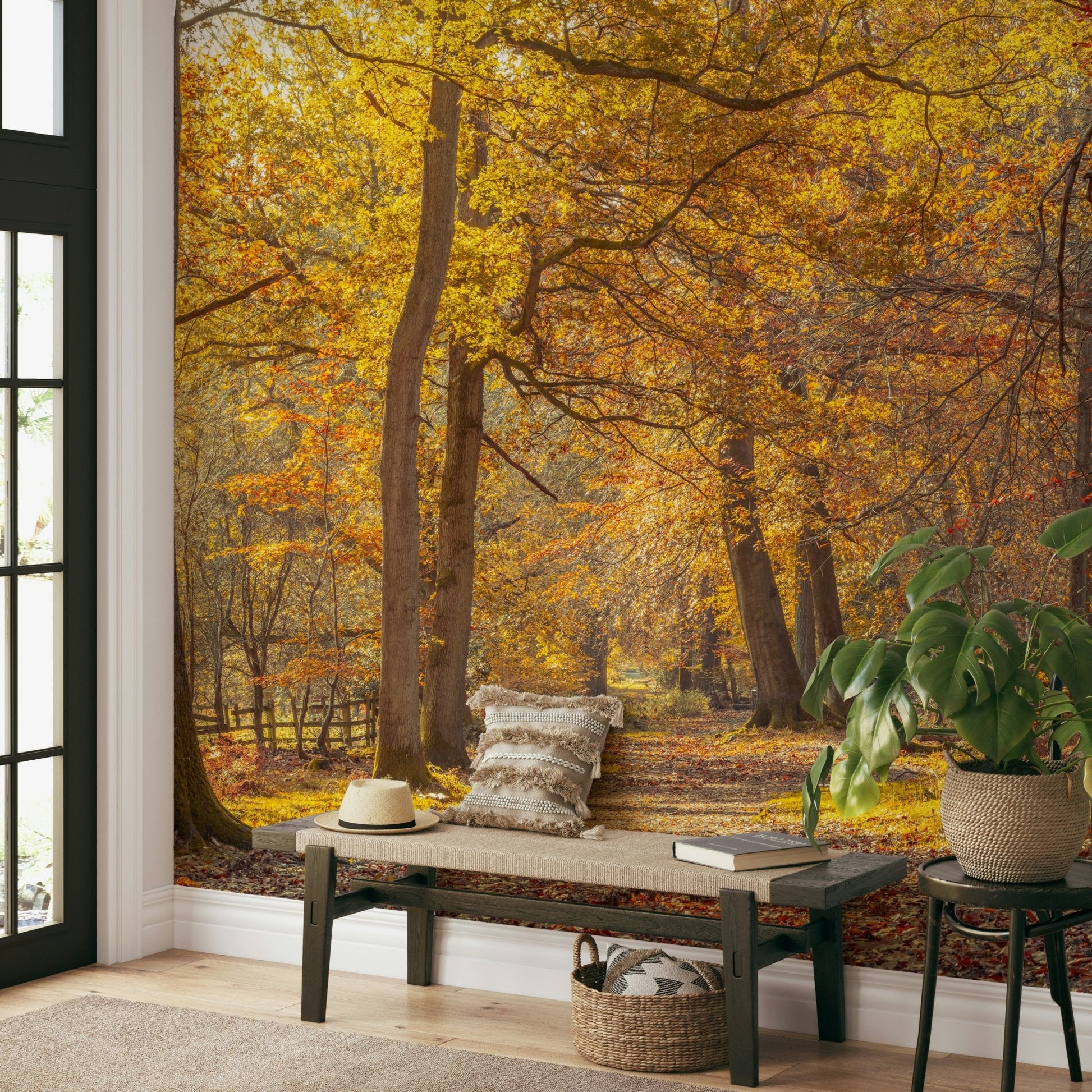 Vibrant and comforting aesthetic.

