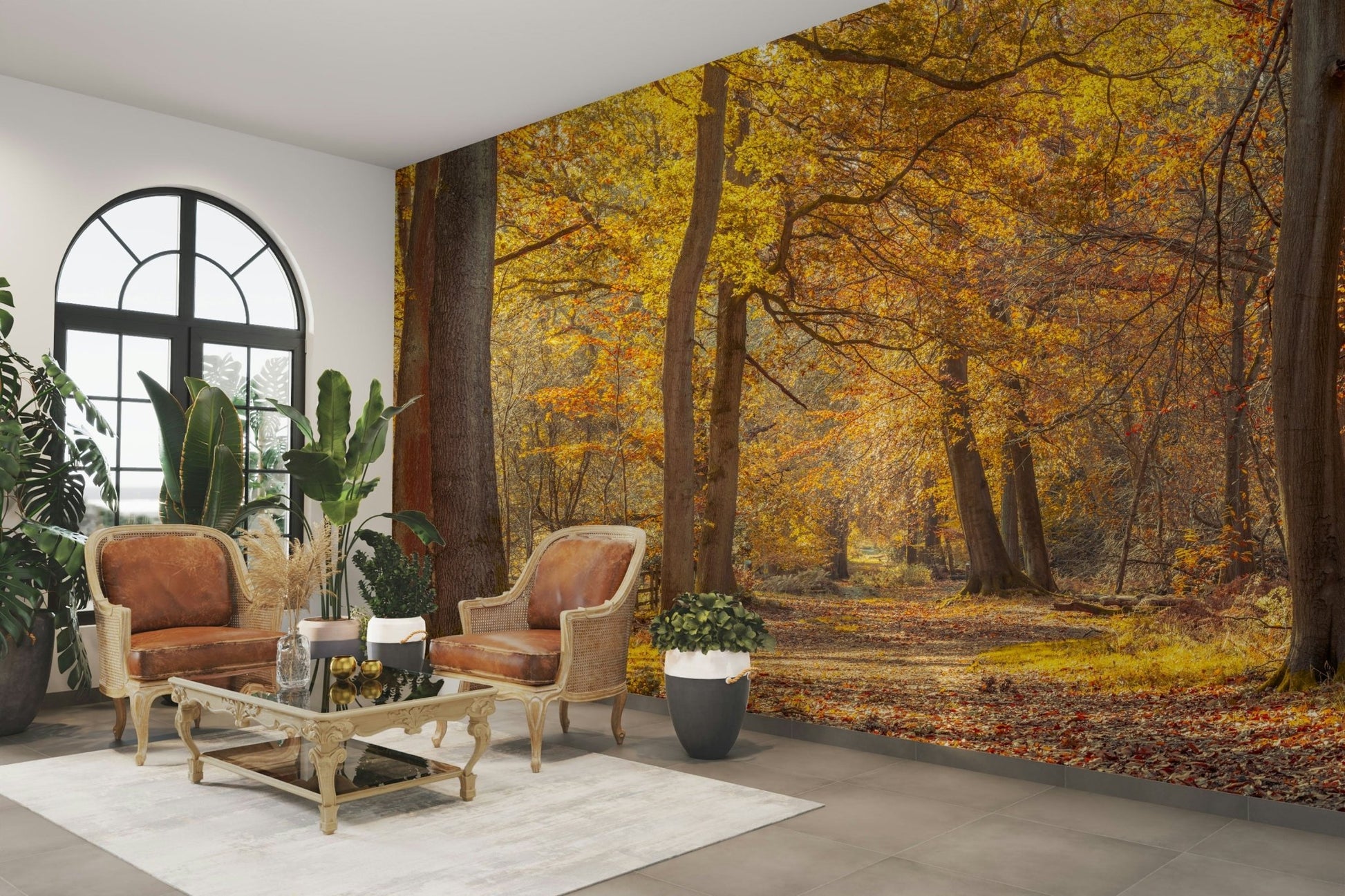 Trees in shades of amber, rust, and saffron.

