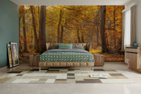 Dappled sunlight filtering through leaves.

