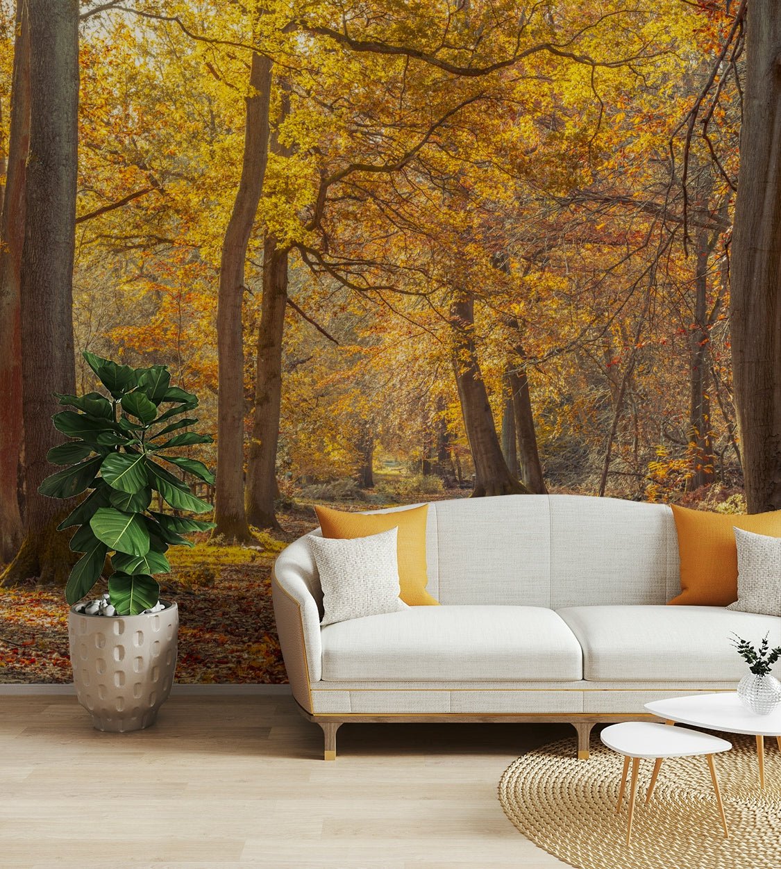 High-resolution image of an autumn forest.

