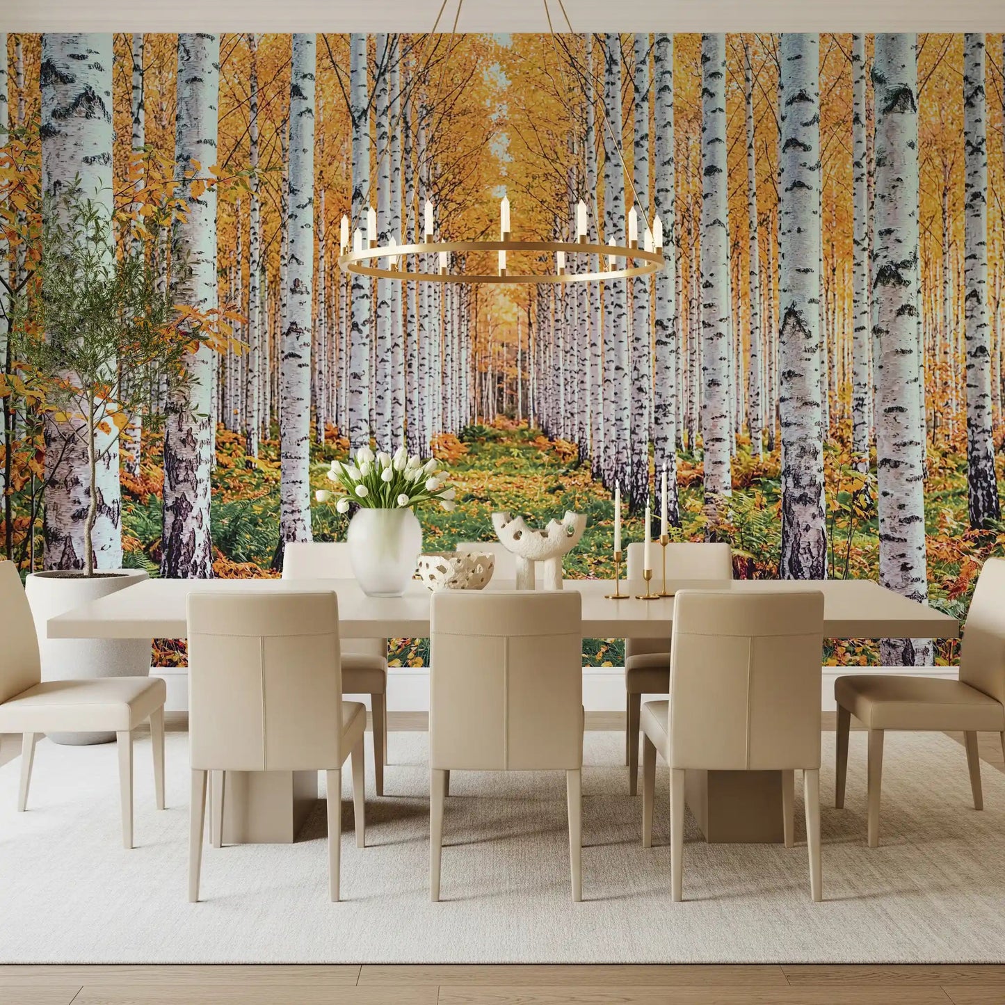 Golden Birch Forest Path wall mural with white trunks and autumn woodland