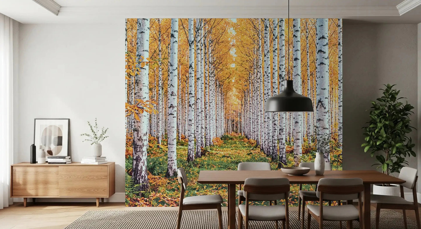 Scenic birch forest wall mural with golden canopy and a calm woodland path