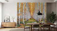 Scenic birch forest wall mural with golden canopy and a calm woodland path