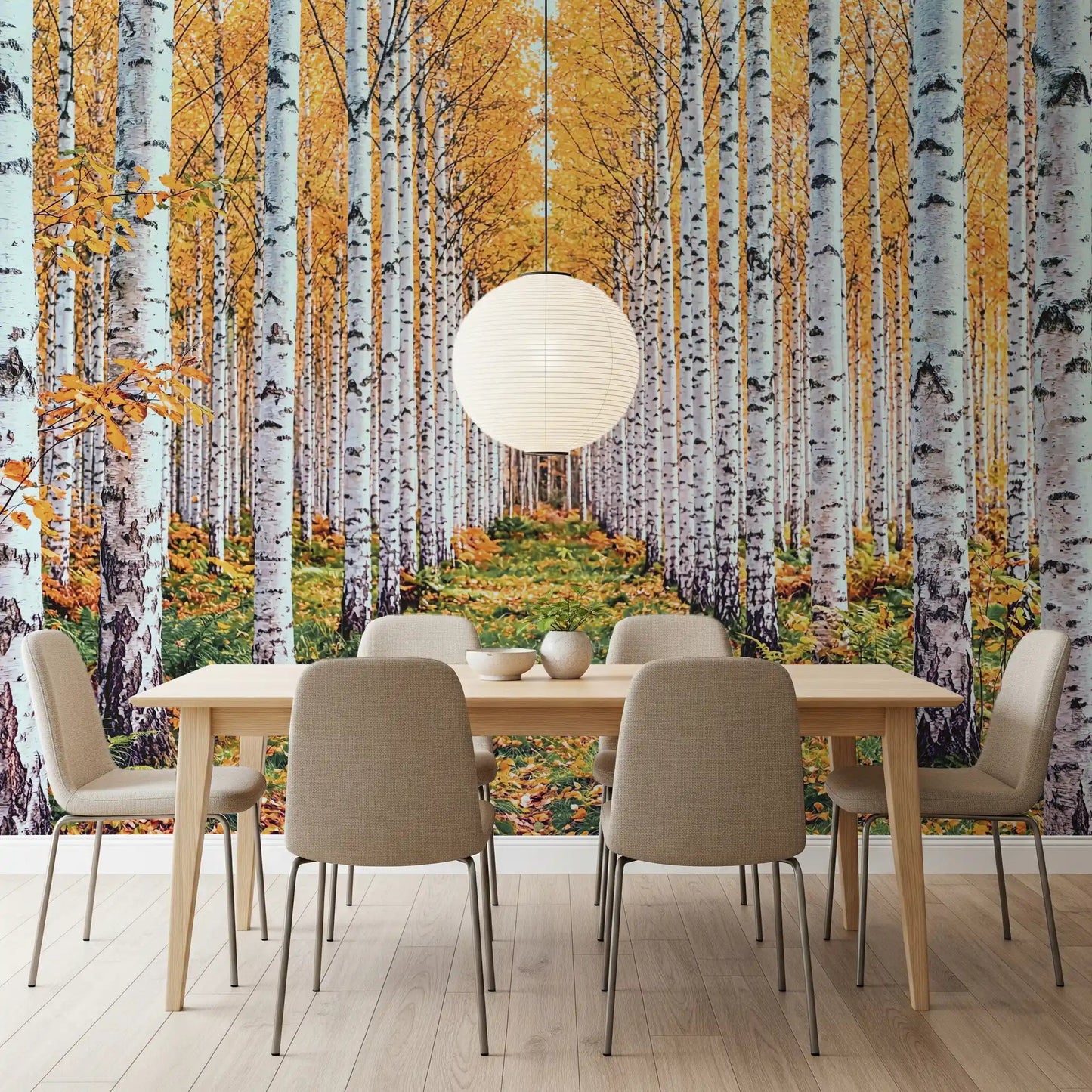 Golden birch wall mural in a dining room with forest path and fall foliage