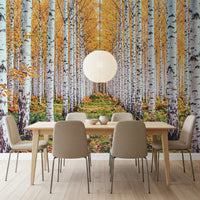 Golden birch wall mural in a dining room with forest path and fall foliage