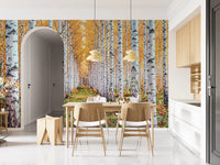 Birch forest wall mural for a dining room with golden leaves and woodland path