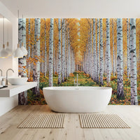 Forest path wall mural with golden birch trunks and warm autumn foliage