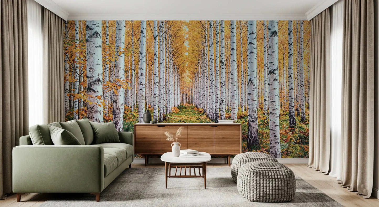 Birch woodland wall mural featuring golden forest path and tall pale trees