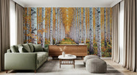 Birch woodland wall mural featuring golden forest path and tall pale trees
