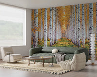 Golden birch wall mural in a living room with forest path and autumn trees