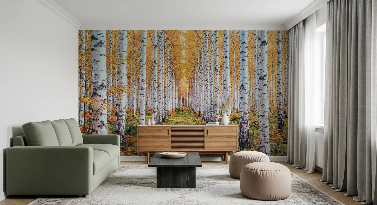 Autumn birch forest wall mural with golden leaves and a soft woodland path